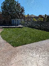 M Landscaping Ltd. photo 8