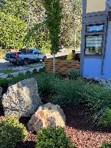 Upscaled Yard & Gardens photo 4