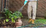 Bulwark Exterminating photo 4