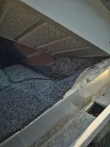 Kia pestcontrol&wildlife removal photo 8
