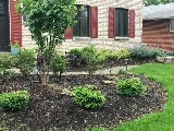 LawnScapes photo 8