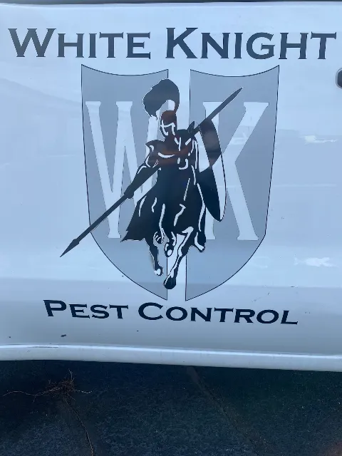 White Knight Pest Control photo 1