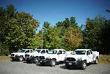 Modern Pest Services photo 3