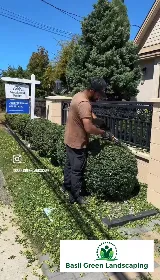 Basil Green Landscaping photo 4
