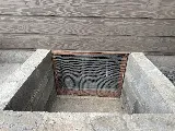 Pointe Pest Control - Missoula photo 4