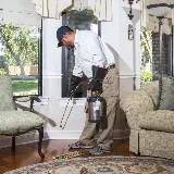 Discovery Pest Control