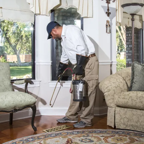 Discovery Pest Control photo 1