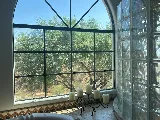 International Window