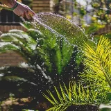Chula Vista Landscaping & Synthetic Turf photo 5