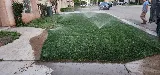 Landscaping & Gardening service photo 5
