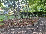 Wilson Landscaping photo 7