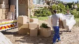 Mover Bradenton photo 2