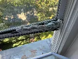 Argo Glass & Windows photo 6