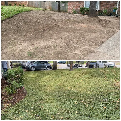 Super Green J&D LLC photo 1