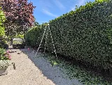 TOMEI Landscaping Ltd photo 3