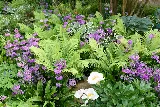 Todd Haiman Landscape Design photo 7