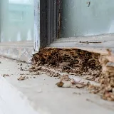 The Bug Man, Inc. photo 3