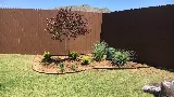 Proactive Landscaping photo 6