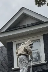 Safe Home Pest Control Incorporation photo 2