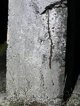 Web Termite & Pest Control, LLC photo 5