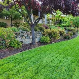 AVR Landscape Inc. photo 3