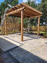 Lucid Terra photo 3