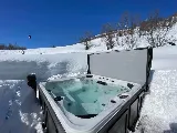 Arctic Spas Regina photo 4