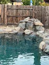 California Trademark Pools photo 4