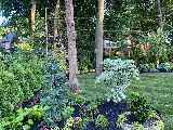 Anthony & Sons Landscapers photo 6