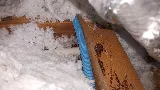 American Pest Solutions at Miramar photo 4