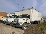 Green Gorilla Movers