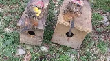 Wildlife Trapper Pro photo 2