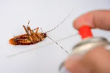 Prairie Pest Control Inc photo 7