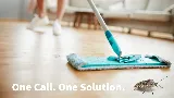 Rose Pest Solutions