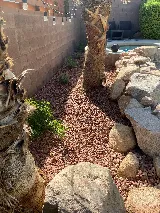 Ugarte Landscapes & Irrigation Repair photo 6