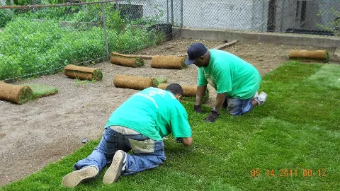 Manhattan Landscape Company photo 1