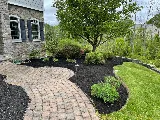 ProGreen Services photo 7