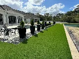 RiverCity Lawn & Landscape photo 2