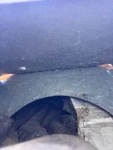 Safe Pro Pest Control photo 6