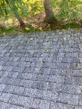 CNY Roof Cleaners photo 5