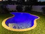 Premier Pools & Spas photo 8