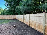 DNG Landscaping LLC photo 2