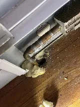 Master Mice Proofing photo 2