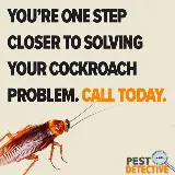 The Pest Detective photo 5
