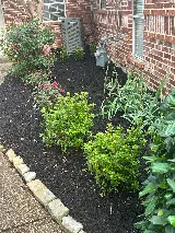 Valadez Landscaping LLC photo 7