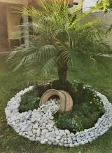 Semper Fi Landscaping & construction photo 8