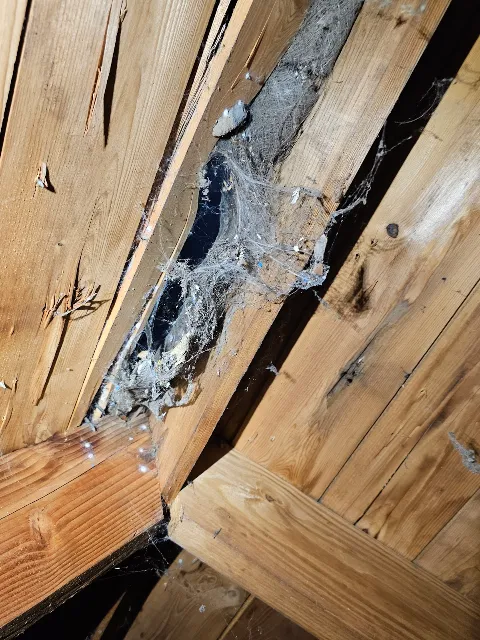 Northern Pest and Wildlife Control in Marquette