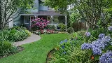 Redwoods Landscaping Inc photo 6