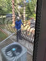 Insight Pest Solutions Ottawa photo 6