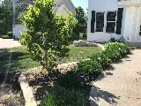 Pilot Landscape Solutions photo 6